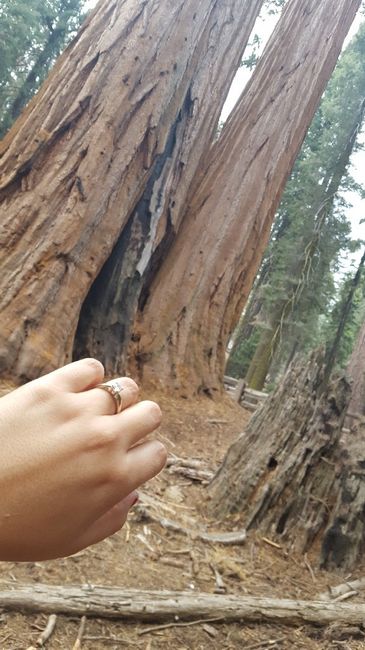 100% enamorada de gamn 4