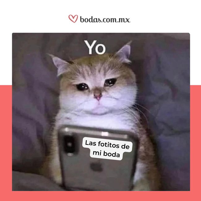 ¡Que bellos recuerdos! 🤗 1