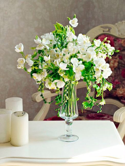 Significado de las flores de boda - Peonía, Jazmín y Tulipán 4
