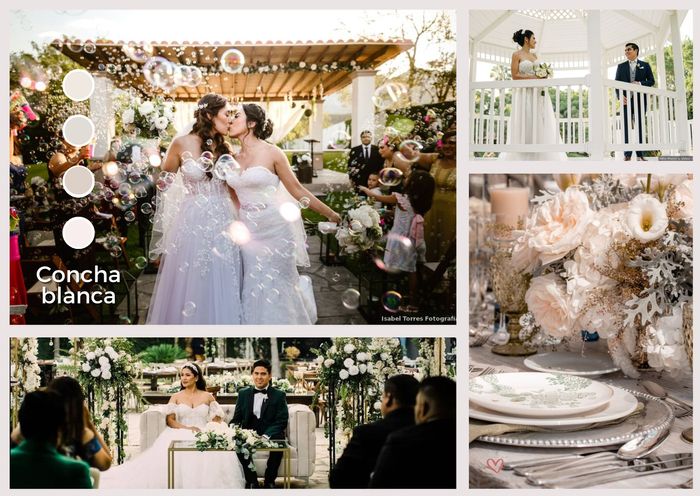 Mi moodboard -Concha blanca 🤍 2