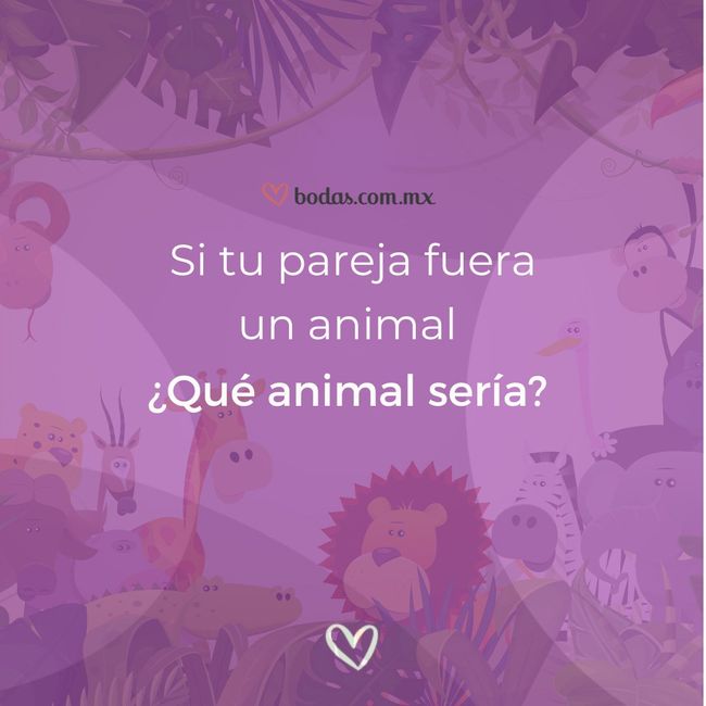 Si tu pareja fuera un animal ¿Qué animal sería? 🐥🐴🐻🐭🐰 1