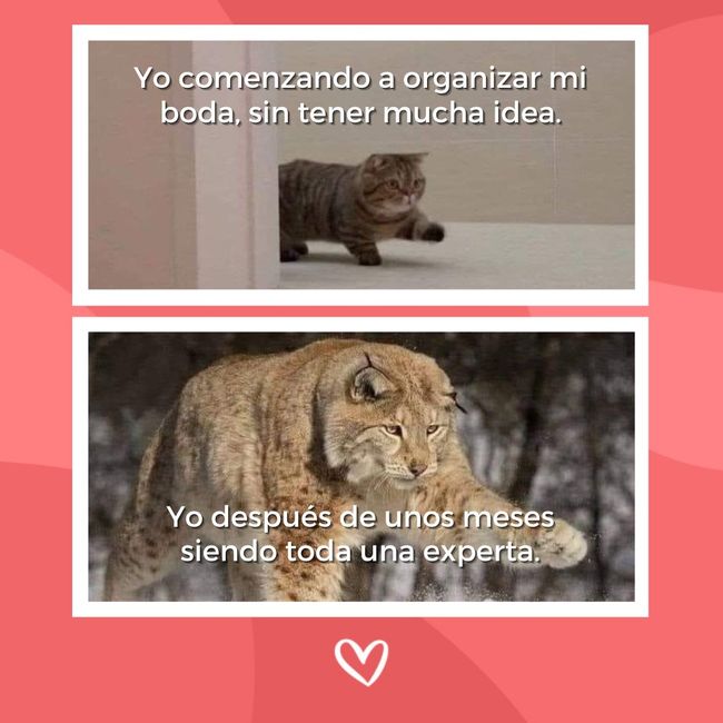 Iniciando los preparativos vs en la recta final - 1