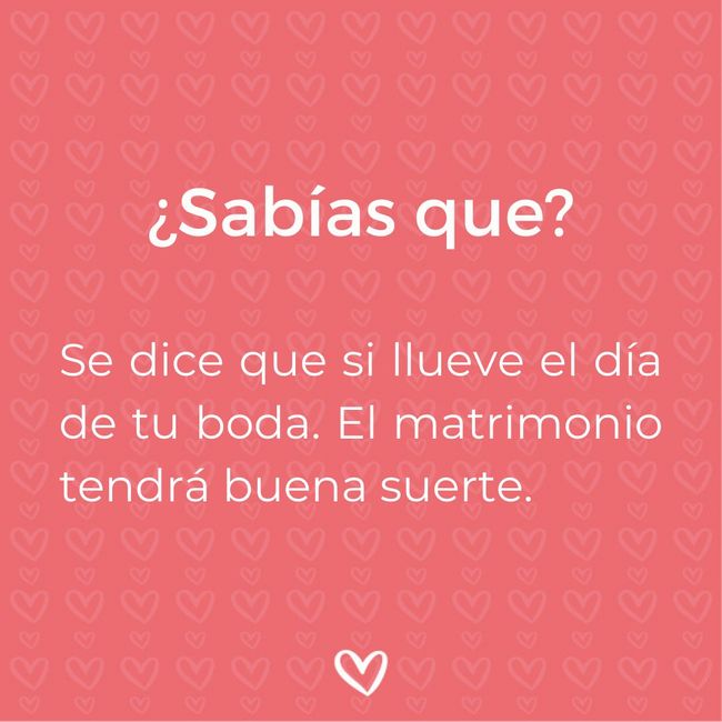 ¿Sabías que...? Si llueve 1