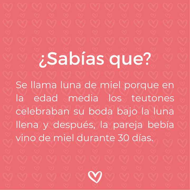 ¿Sabías que...? Luna de miel 🌙🍯 - 1