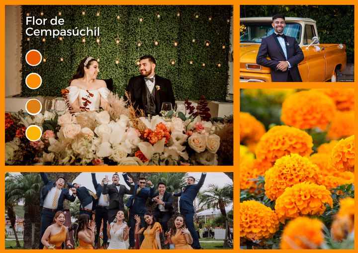 Mi moodboard - Flor de Cempasúchil 💛 - 1