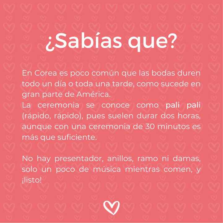 Sabías que... pali pali - 1