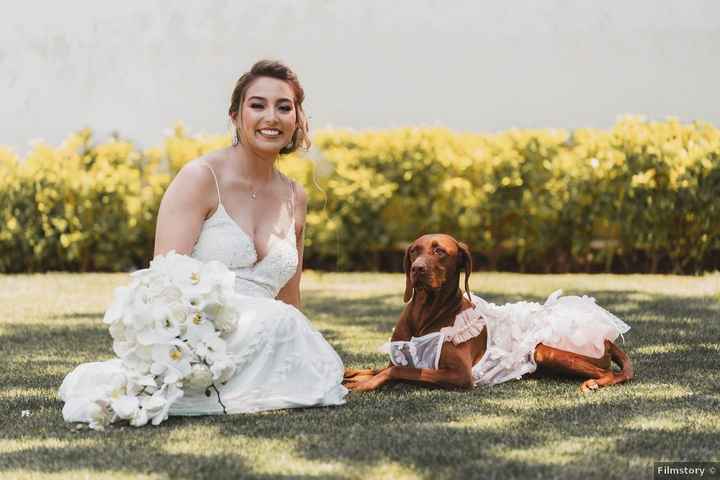 ¿Su mascota participará en su boda? 🐶 - 1