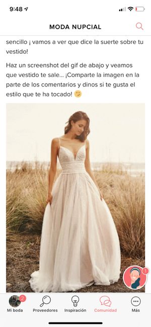 Haz screenshot y descubre tu vestido 17