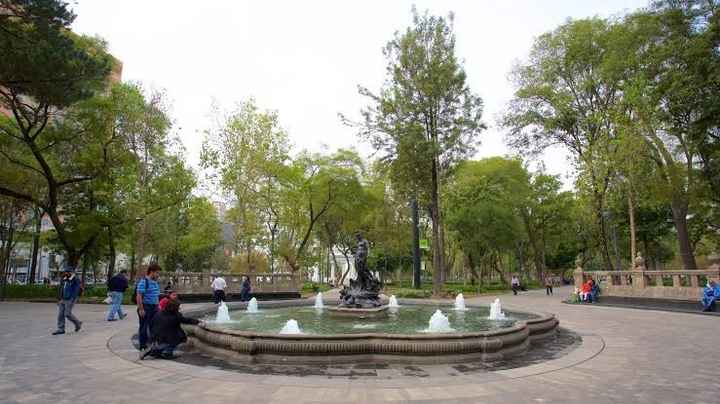 Pros!... y Contras? - 4