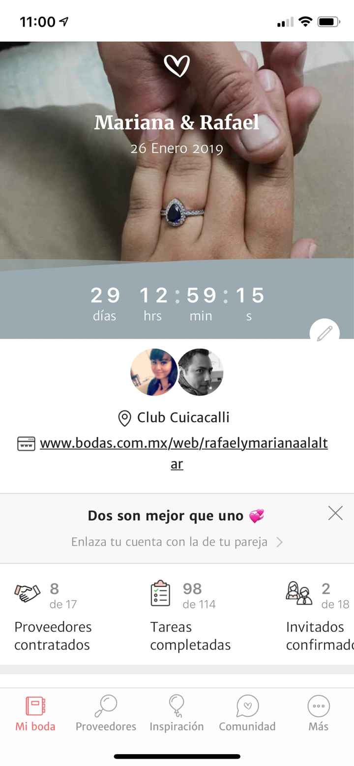 Contador a 29 días - 1