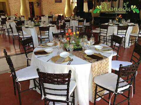 Mis proovedores a 4 meses  con fotos - 1