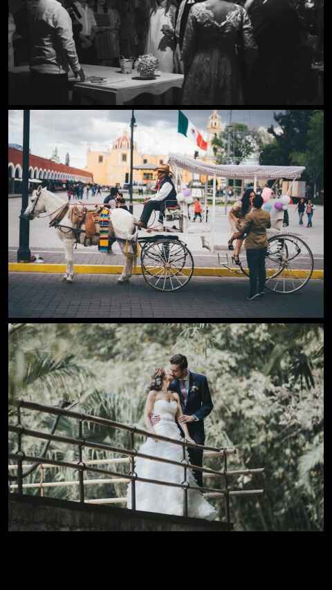 Mis proovedores a 4 meses  con fotos - 2