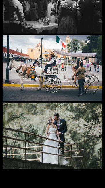 Mis proovedores a 4 meses  con fotos - 2