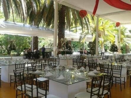 Mis proovedores a 4 meses  con fotos - 7