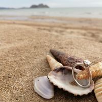 Muestren sus anillos de compromiso y argollas de matrimonio ❤️❤️❤️ - 1