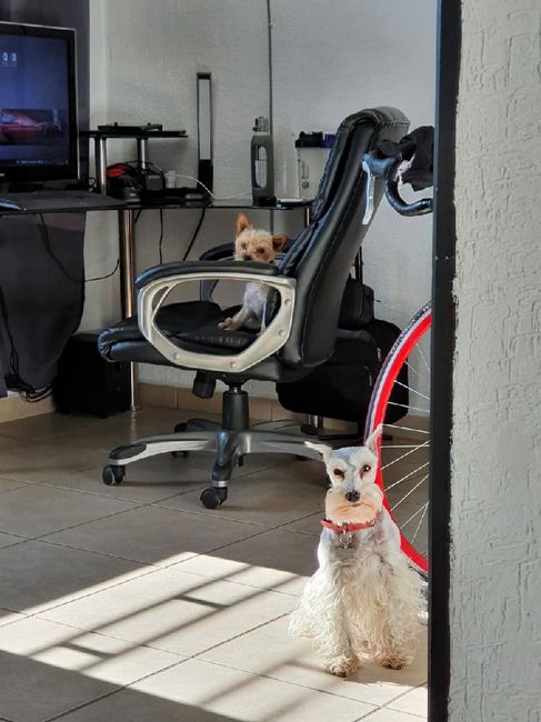 Briana reta a los novios de la comunidad a... 7