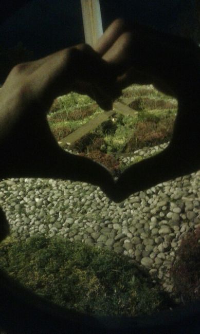 Así me pidió que me casara con  él - 2