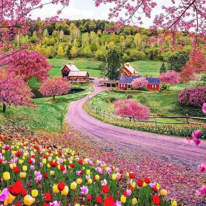 Dilema de la luna de miel...aún sin definir 😥😥 - 4