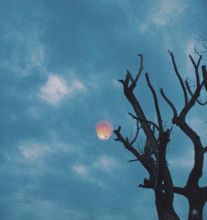 Mis fotos me encanto mi boda - 1