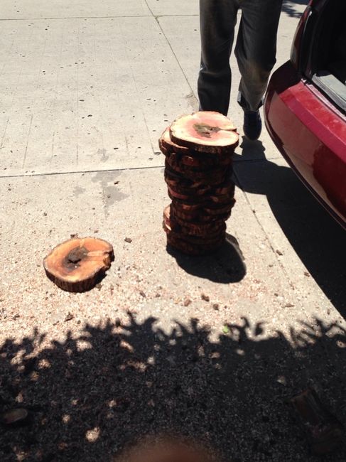 4 días y avances - 3