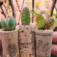 Recuerdos😳 - 1