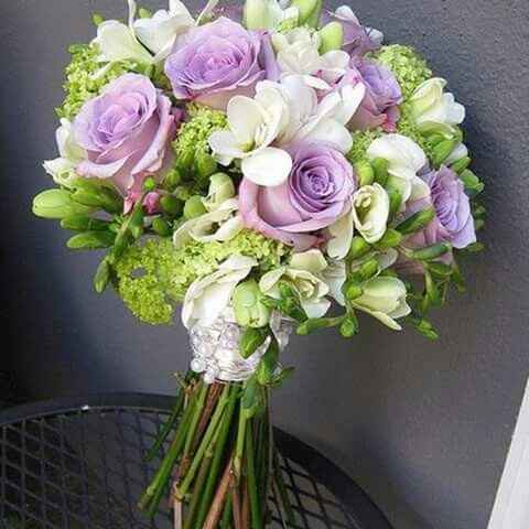 Eleccion del ramo - 4