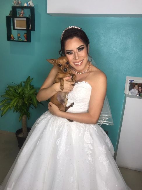 Fotos del gran día 8