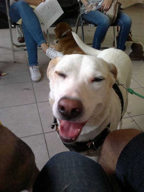 Mi Kimy