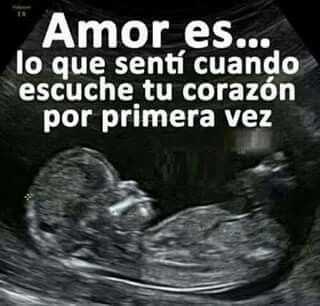 Una emoción indescriptible - 1