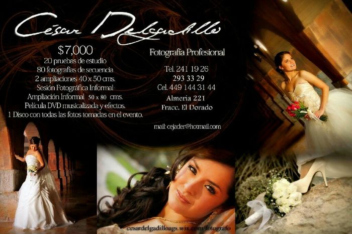 ¿A quién me recomiendan para la fotografía y el video? - 1