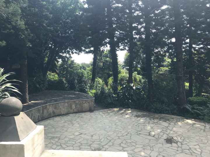  Aquí me voy a casar - 8