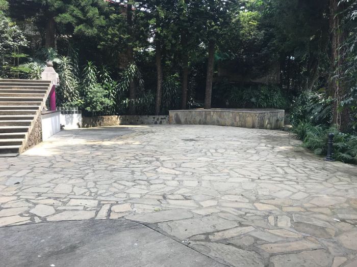  Aquí me voy a casar - 5