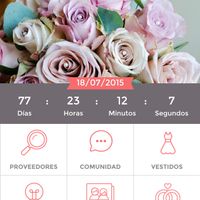 ¿cuánto falta para vuestra boda? ¡a presumir contadores! - 1
