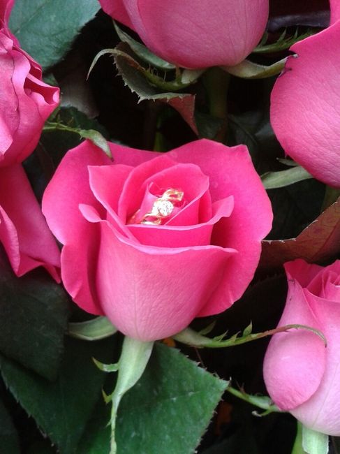 ¿Como prefieren el anillo de compromiso? - 2