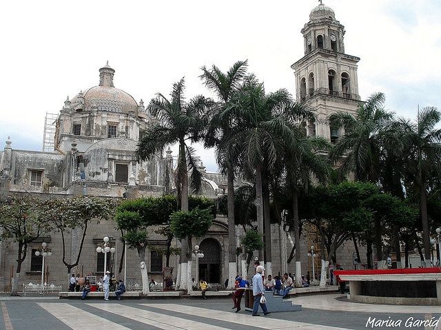 catedral de veracruz