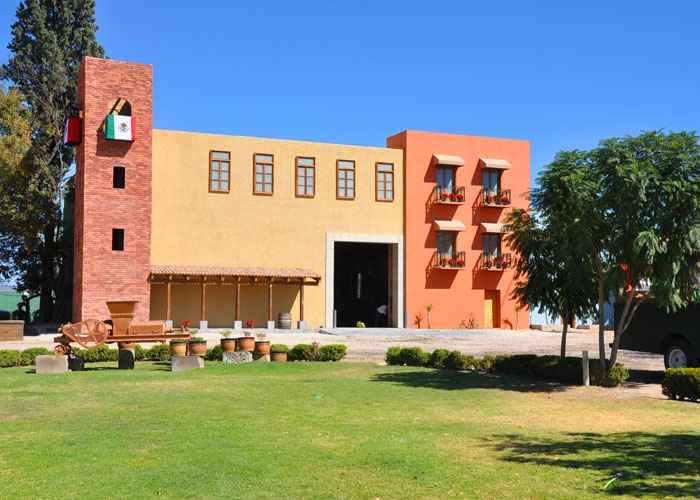 boda en viñedo