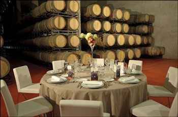 boda en viñedo