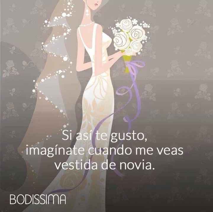 Se enamorara aun mas