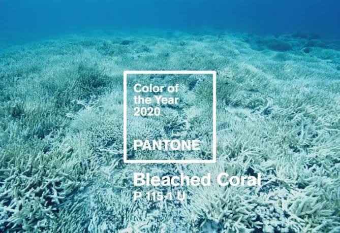 Color 2020 - 1