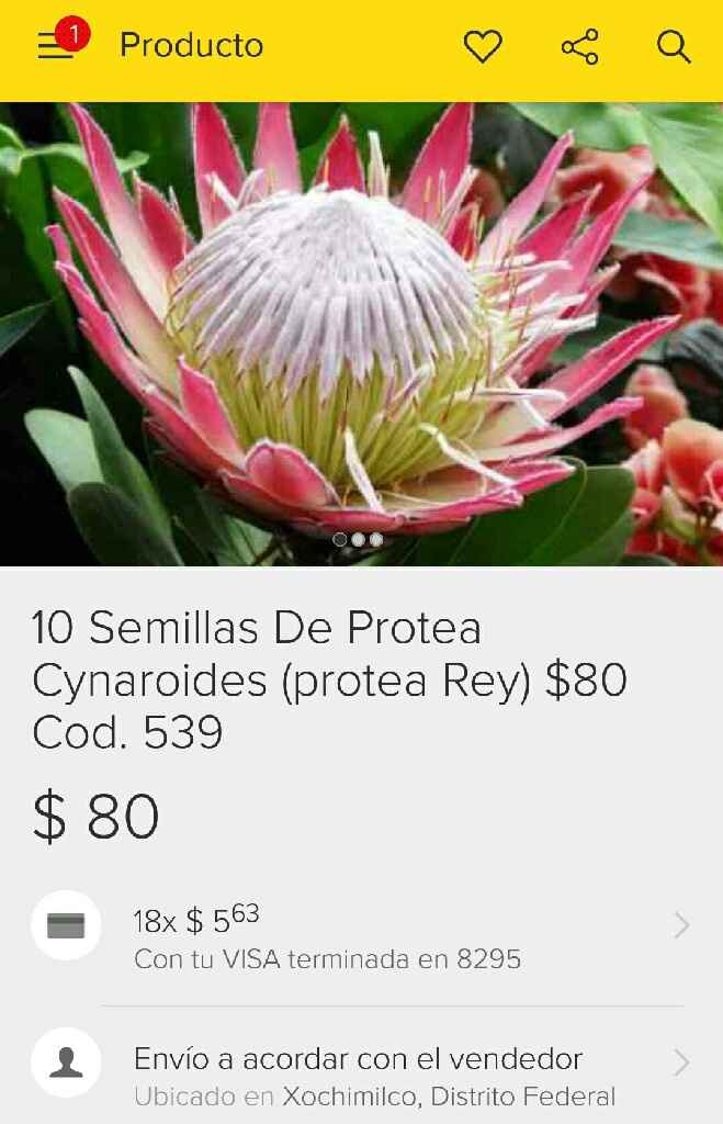Proteas en ramos de novia - 1