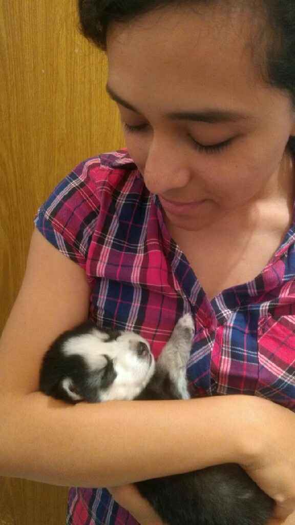 Cachorro en casa - 1