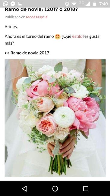 Novia 2017 o 2018 - 2