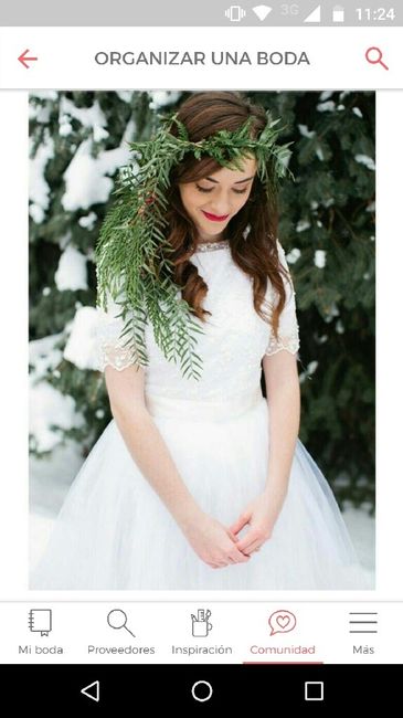 Claves para tener una boda navideña - 1