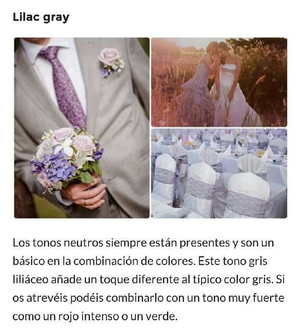 Color de la boda - 7
