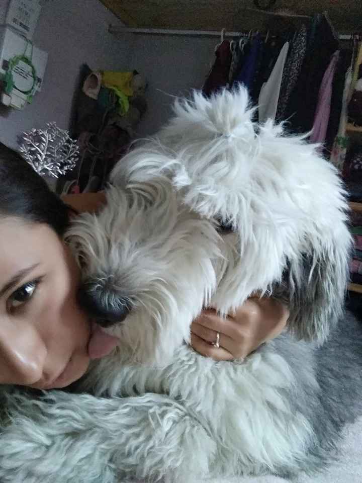 Mi historia de amor: Andrea & Juan Carlos - 2