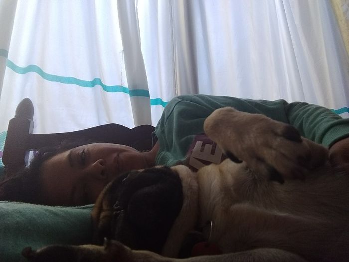 Best dogs or dog of honor - 1