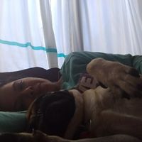 Best dogs or dog of honor - 1