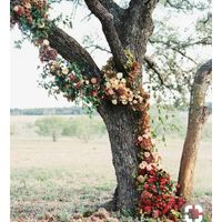  Wedding File D&c - 3