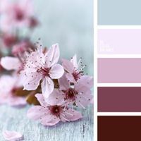 🎨Mi moodboard -  PUESTA DE SOL - 1