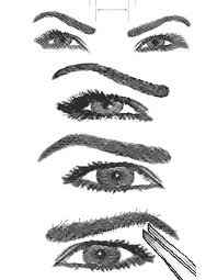 tipos de CEJAS